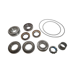 KIT REPARACION DIFERENCIAL TRASERO FREELANDER 2 - Inicio